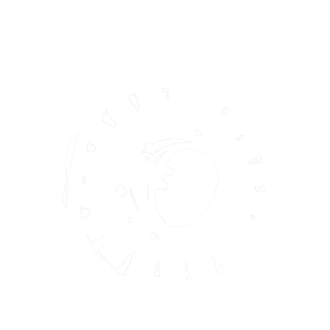 https://whitespower-images-upper.s3-ap-southeast-2.amazonaws.com/ALL/RM_STATOR/RMS010103240_2.JPG