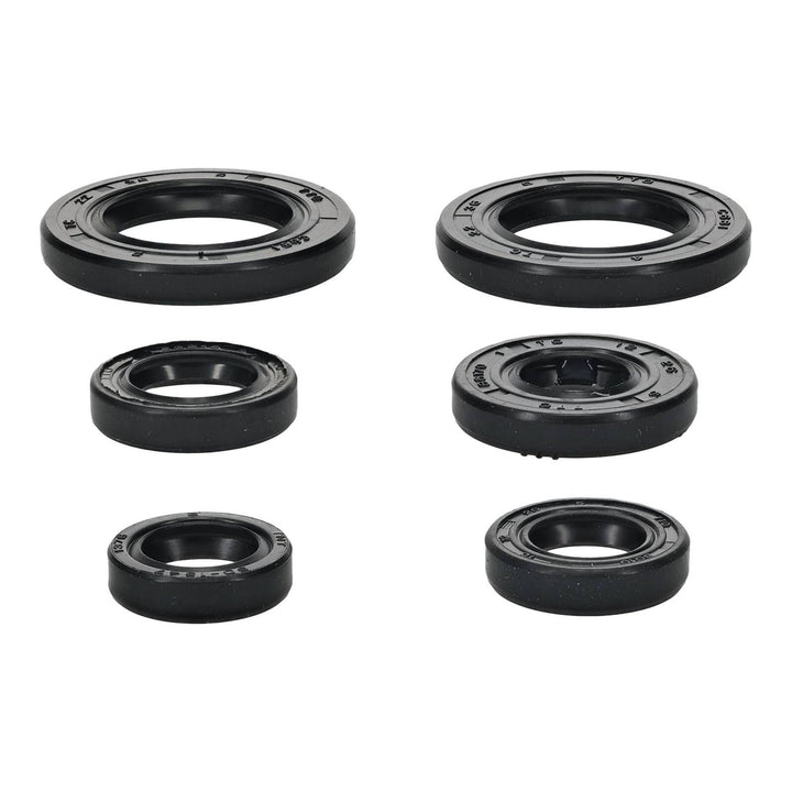 Oil Seal Kit 822391